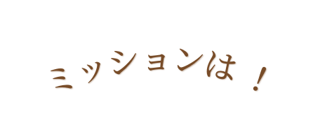 ミッションは